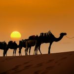 Explora el desierto de Marruecos con tours únicos a Merzouga, Zagora o Erg Chigaga. Disfruta dunas doradas, cultura bereber y noches estrelladas inolvidables.